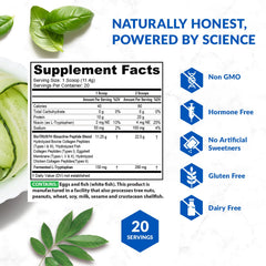 BioTrust Ageless Multi Collagen Powder – Chocolate flavor