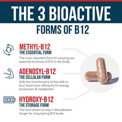 Methylcobalamin B12 – essential form for B12 status
