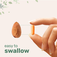 Bioavailability enhanced turmeric formula