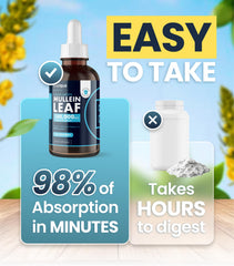 Dosing directions for Mullein Drops