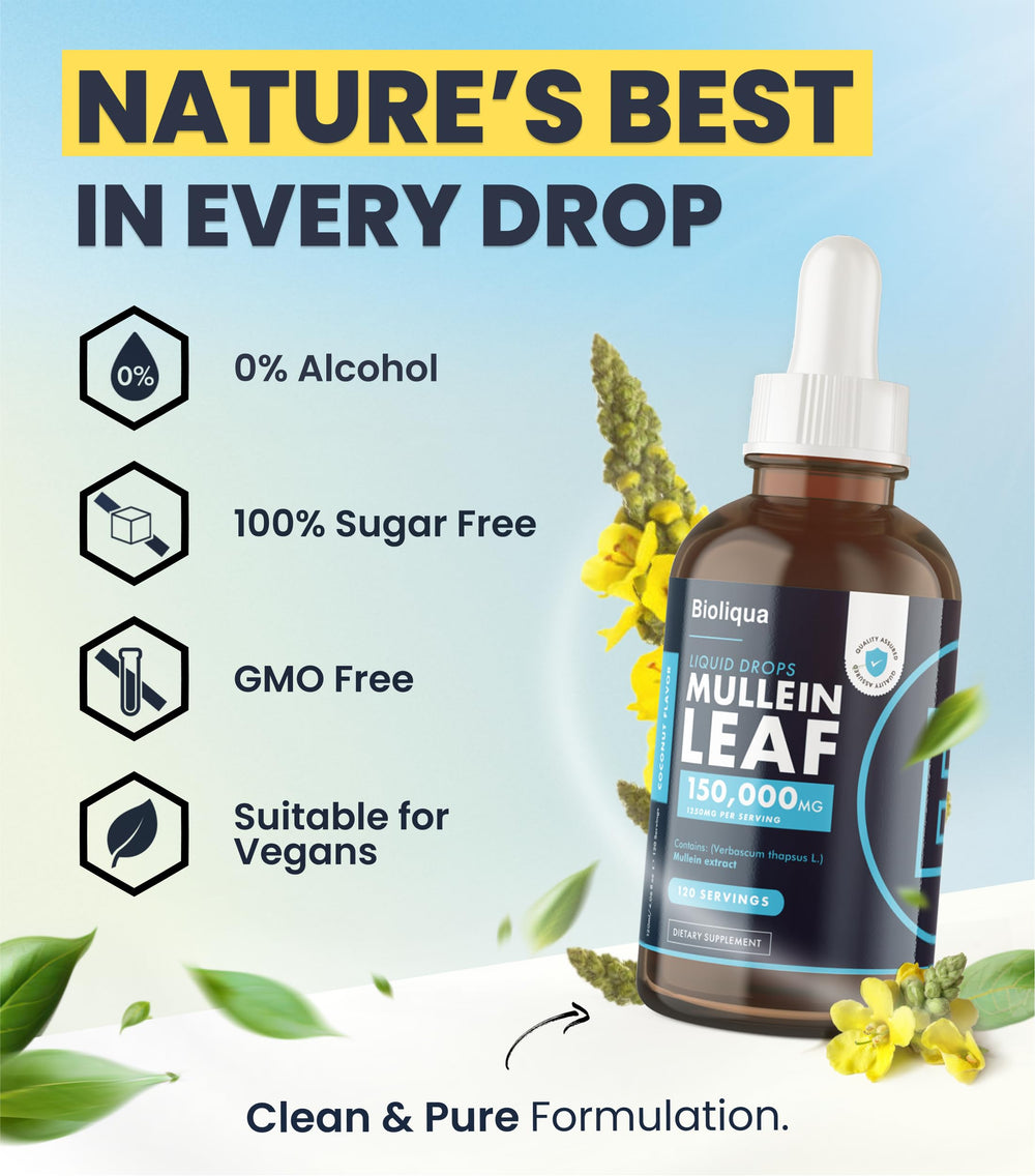 Mullein drops ingredients and GMP badge