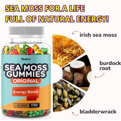 Biolore Sea Moss Gummies for kids use
