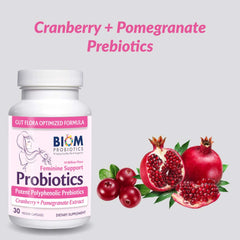 Illustration of Lactobacillus probiotic strains in Biom formula