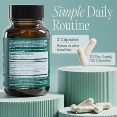 BIOMA Probiotics digestive health visual showing a balanced gut microbiome