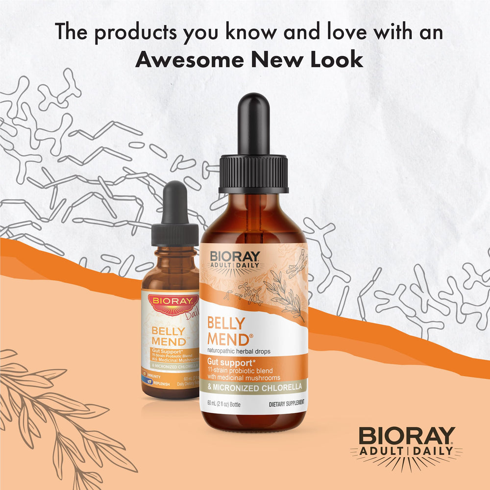 Illustration of gut health benefits and digestive support from BIORAY Daily Belly Mend