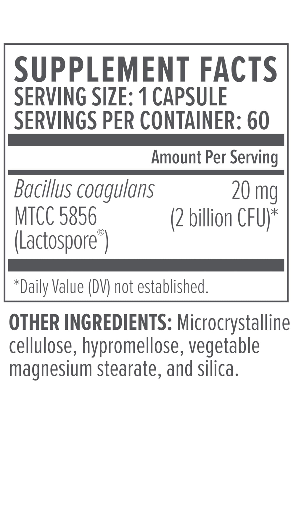Graphic illustrating gut health and probiotic support