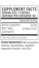 Graphic illustrating gut health and probiotic support