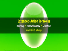Graphic highlighting fat metabolism and energy support