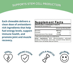 AFA algae ingredient highlight for Bioxtron