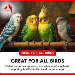 Vitamin and magnesium enriched powder for bird feather growth