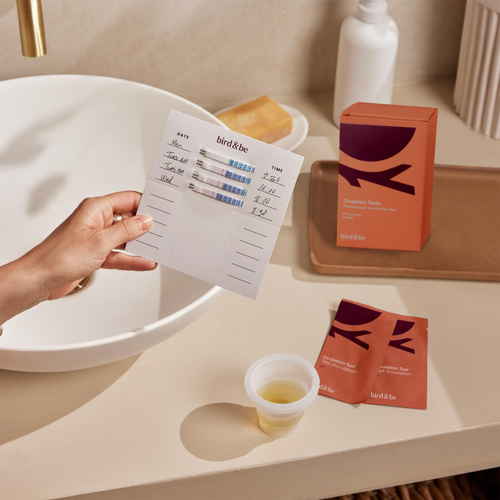 Bird&Be branding on the product packaging