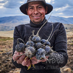 Lifestyle image depicting energy and vitality associated with maca