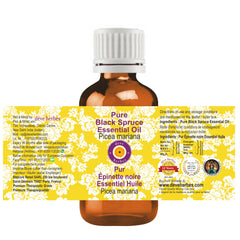 Steam-distilled Black Spruce Essential Oil from Picea mariana (10ml)