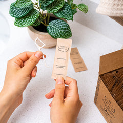 Individually wrapped floss picks in recyclable paper sleeve