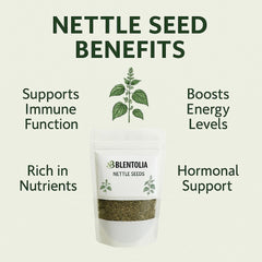 Nettle seeds being brewed into tea
