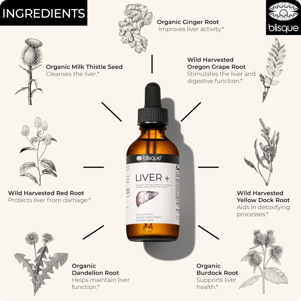 Ingredients of Blisque Liver Complex including milk thistle and dandelion root