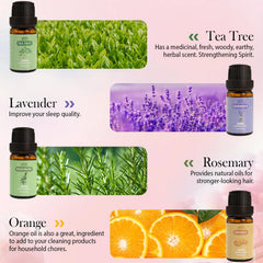 Amber glass bottles with dropper caps for BlissfulBlend essential oils