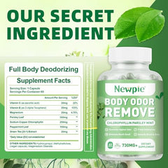 Nutrient-rich formula highlighting vitamins C, E, and magnesium