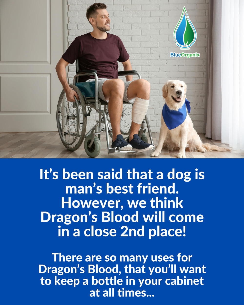 Graphic showing multiple uses for Dragon's Blood tincture