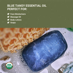 Blue Tansy oil for skincare serums and moisturizers