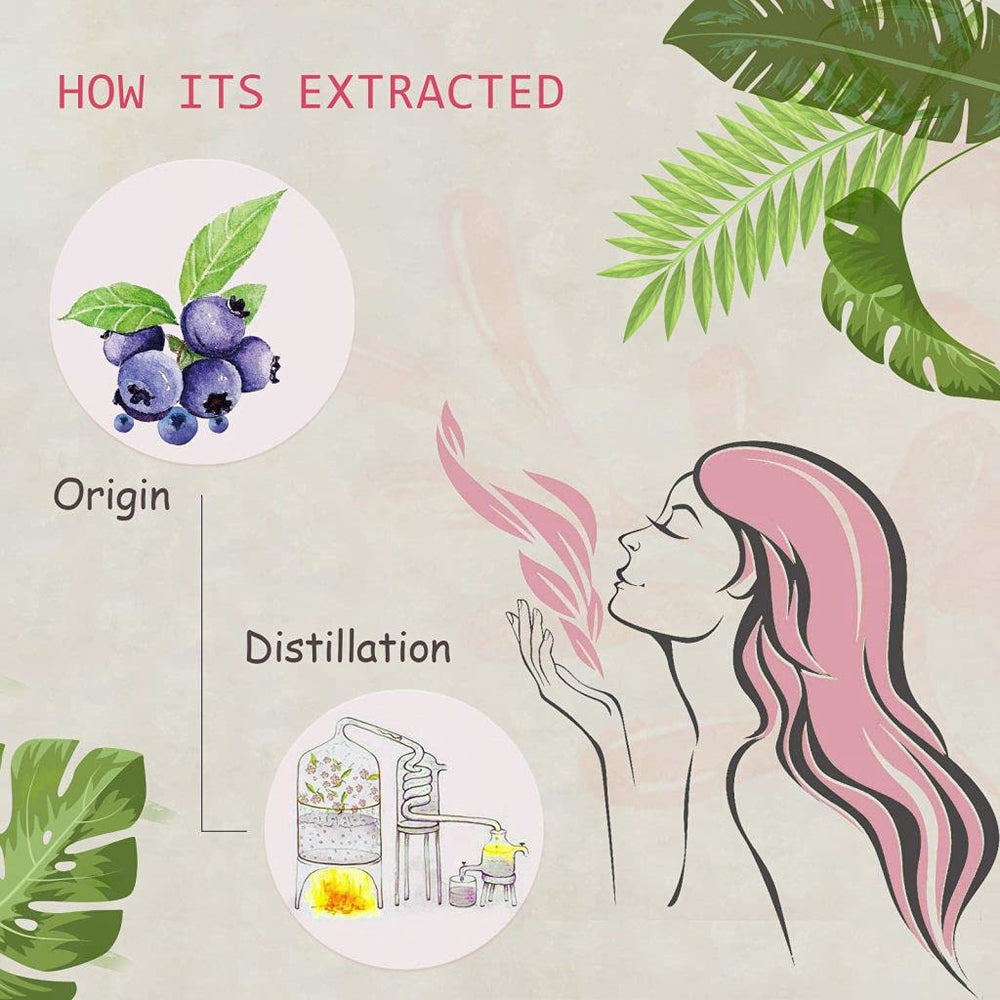 Blueberry essential oil extracted from the berry's sarcocarp and peel