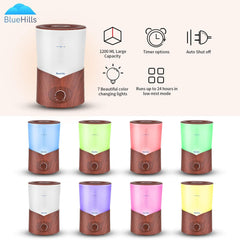 BlueHills diffuser in a living room setup for large area coverage