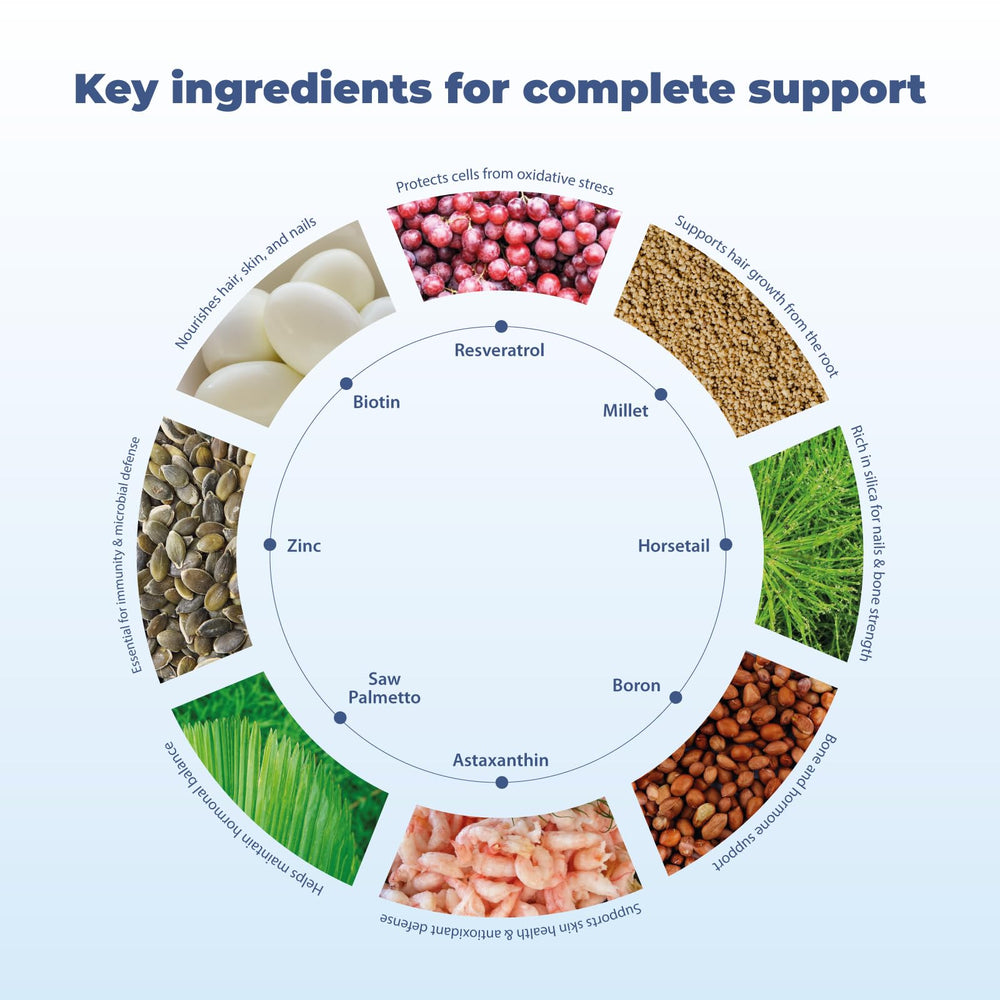 BM10 Max ingredients including boron, zinc, biotin and MSM