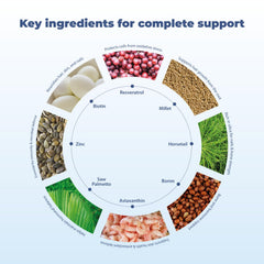 BM10 Max ingredients including boron, zinc, biotin and MSM