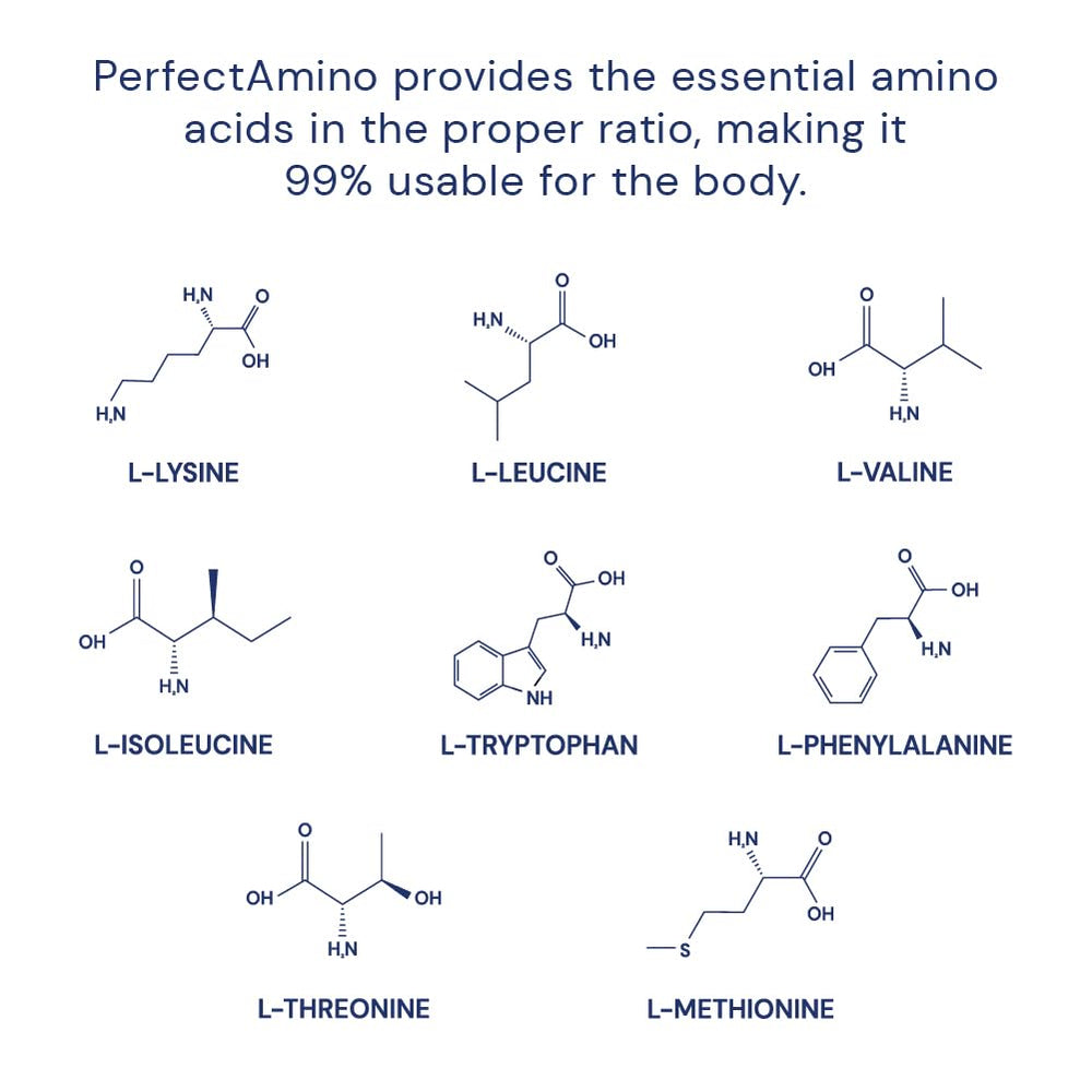 Diagram showing BCAAs and amino acids in PerfectAmino