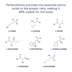 Diagram showing BCAAs and amino acids in PerfectAmino