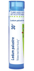 Boiron Ledum Palustre 30C 80-pellet tube image