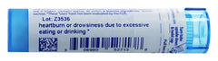 Boiron Nux Vomica 30C 80 pellets label and ingredients
