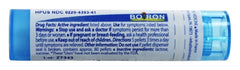Boiron Rhus Toxicodendron 30C homeopathic medicine bottle