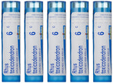 Boiron Rhus Toxicodendron 6C homeopathic remedy box with 5-pack of pellet tubes