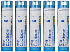 Boiron Rhus Toxicodendron 6C homeopathic remedy box with 5-pack of pellet tubes