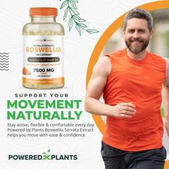 Capsule highlighting high-potency 7500 mg Boswellia Serrata extract (10:1)