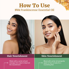 Boswellia Serrata resin used for frankincense oil