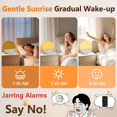BOTDOYS Sunrise Alarm Clock brightness curve demonstrates gradual sunrise feature