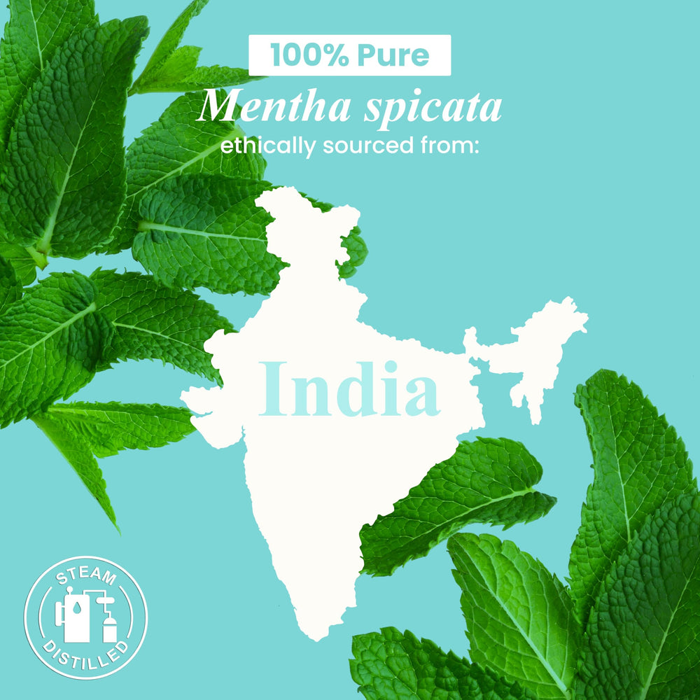 Handcraft Blends spearmint essential oil bottled in the USA
