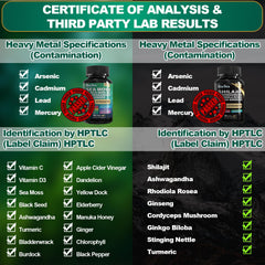 Bottle of Boysea Rhodiola Rosea and Cordyceps blend capsules