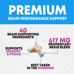 Graphic illustration showing Bacopa Monnieri, Phosphatidylserine and DMAE ingredients