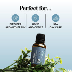 Tea tree and spearmint notes highlighted in Breathe essential oil blend
