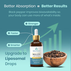 Graphic illustrating liposomal delivery technology