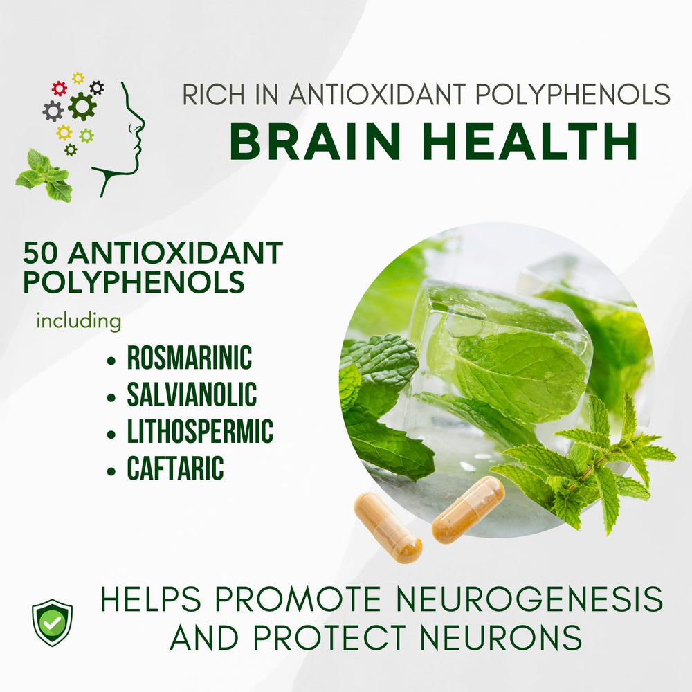 Brain health concept with neurons and neurotransmitters