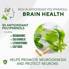 Brain health concept with neurons and neurotransmitters