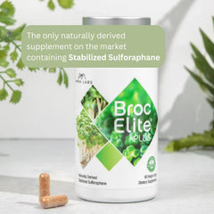 BrocElite ingredient sourcing—natural broccoli extract you can trust