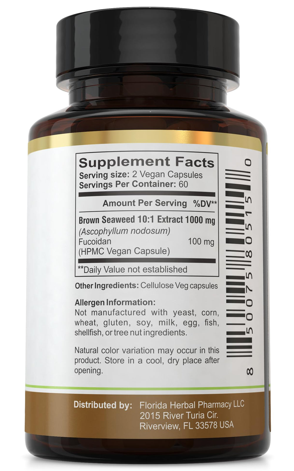 Brown seaweed source fucoidan illustration