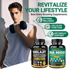 Himalayan Shilajit energy blend with adaptogens