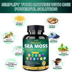 Bladderwrack and Sea Moss components