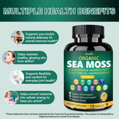 Ginger and Burdock Root alongside Bualle Sea Moss Capsules